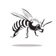Bee N13