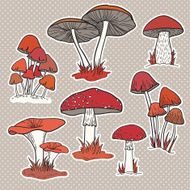 Vector set with mushrooms