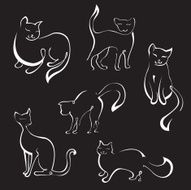 Cat Design Set