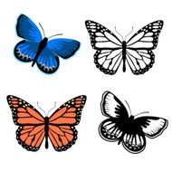 Monarch and Karner blue butterflies