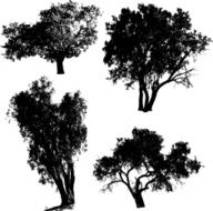 Black trees