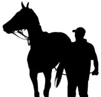 Horse Grooming