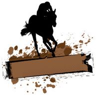 Horse Riding Banner N2