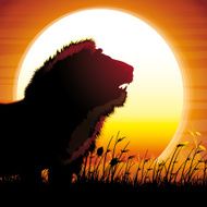 The Lion silhouette safari against hot sun