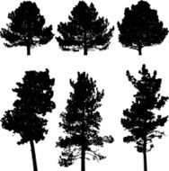 Pine tree silhouettes