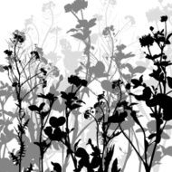 Silhouette of herbs and flowers N5