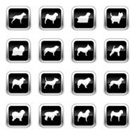 Supergloss Black Icons - Dogs