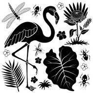 flamingo and taro leaf