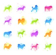 Stains Icons - Dog