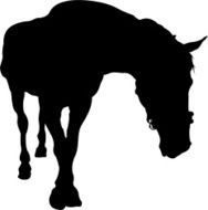 Horse in Silhouette