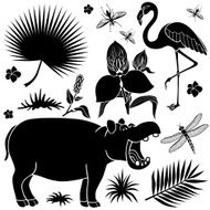 African plants and animals