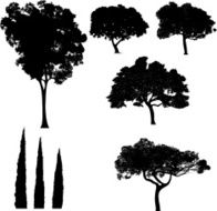 trees N20