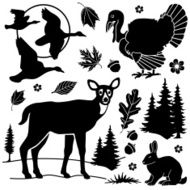 Woodland Animals N3