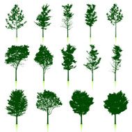 Young Trees silhouettes set