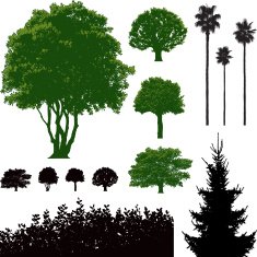 trees N13