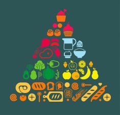Food Pyramid N21