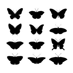 Butterfly Silhouettes