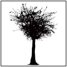 Mystic Tree