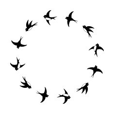 Black and white flying swallows circle frame N2