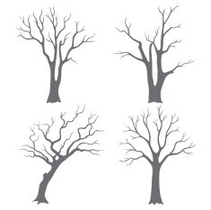 Tree silhouettes N11