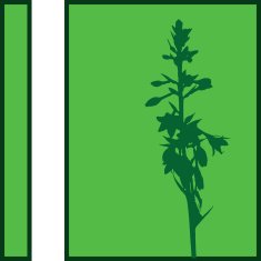 Plant Silhouette N9
