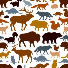 Wild animals pattern N3