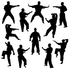 Karate N6