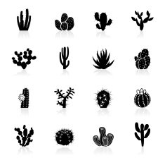 Black Symbols - Cactuses Cacti
