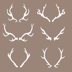 Hand drawn deer antlers