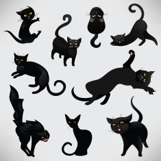 Set of black cats N3