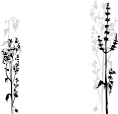 Silhouettes of flowers and grass N41
