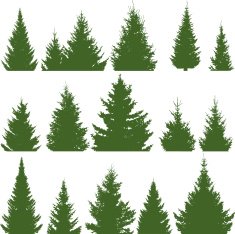 Christmas Trees N21