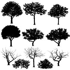 Various Trees Silhouettes N2