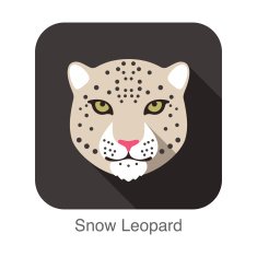 Snow leopard Cat breed face cartoon flat icon design