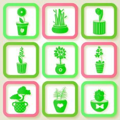 Set of 9 icons different plants and flowers