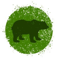 bear N42