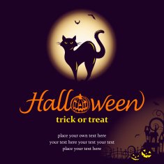 Halloween night with black cat