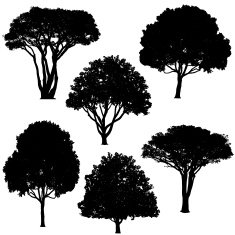 Trees silhouettes N3