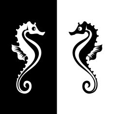 Graphical vector seahorse