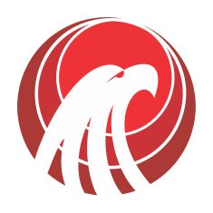 Eagle icon N3