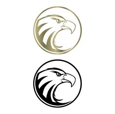 Eagle icon N4
