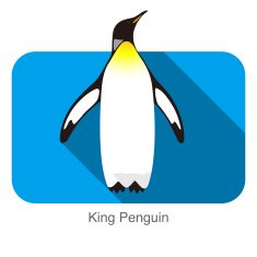 King Penguin standing watch up seed seriers