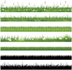 Green grass collection N2