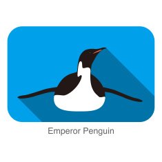Emperor Penguin Penguin seed seriers N3