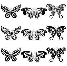 Set of butterflies N5