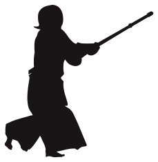Kendo fighter #3 silhouette