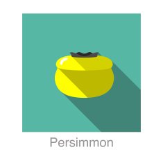 Persimmon food and drink flat icon series N2