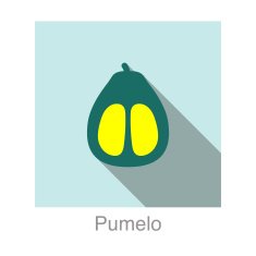 Pumelo food and drink flat icon series