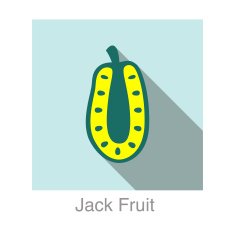 Jack Fruit food and drink flat icon series