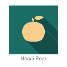 Hosui Pear food and drink flat icon series